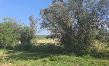 Terrenos en Renta en El Desagüe