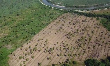 Rancho en venta Cihuatlan