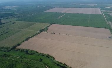 Rancho en venta Cihuatlan