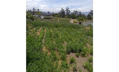 VENDO TERRENO AGRICOLA EN LA PROVINCIA DE TUNGURAHUA