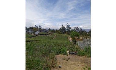 VENDO TERRENO AGRICOLA EN LA PROVINCIA DE TUNGURAHUA