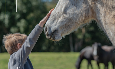Sitio en Venta en Sector Paraguay Chico