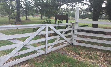 VENTA de 2 Hectareas en Abasto