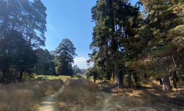 TERRENOS EN POPOPARK      ATLAUTLA - EDOMEX
