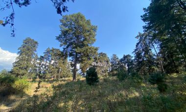 TERRENOS EN POPOPARK      ATLAUTLA - EDOMEX