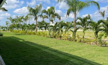 Terrenos en venta en Palmarena