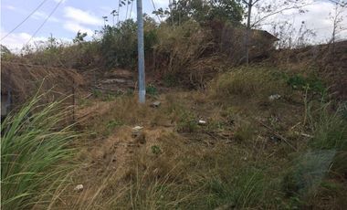 Venta de lote El coco de La Chorrera