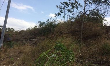 Venta de lote El coco de La Chorrera