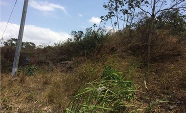 Venta de lote El coco de La Chorrera