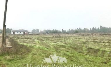 Sitio en Venta en Comua de perlarco , sector el manzano
