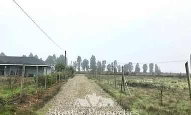 Sitio en Venta en Comua de perlarco , sector el manzano