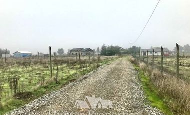 Sitio en Venta en Comua de perlarco , sector el manzano