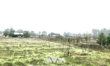 Sitio en Venta en Comua de perlarco , sector el manzano