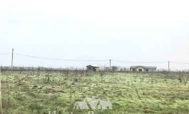 Sitio en Venta en Comua de perlarco , sector el manzano