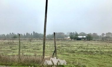 Sitio en Venta en Comua de perlarco , sector el manzano