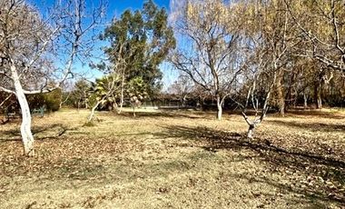 Parcela en Venta en Curimón / San Felipe