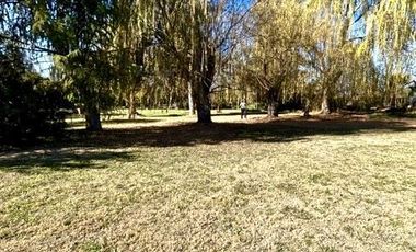 Parcela en Venta en Curimón / San Felipe