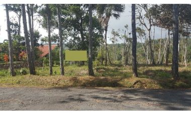 Terreno en venta en Cerro Azul