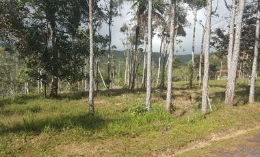 Terreno en venta en Cerro Azul