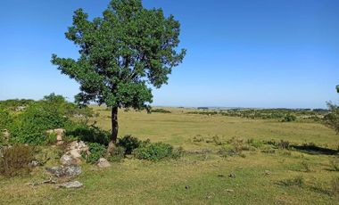 Se venden 236 hectáreas, sobre ruta 7, entre Batlle y Ordóñez y Valentines. Campo de Sierra, con aptitud ganadero forestal.