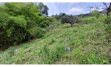 Venta de 2 Lotes en Medio Dapa Yumbo Valle