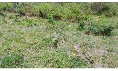 Venta de 2 Lotes en Medio Dapa Yumbo Valle