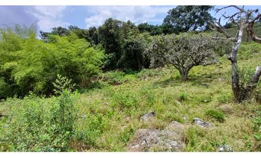 Venta de 2 Lotes en Medio Dapa Yumbo Valle