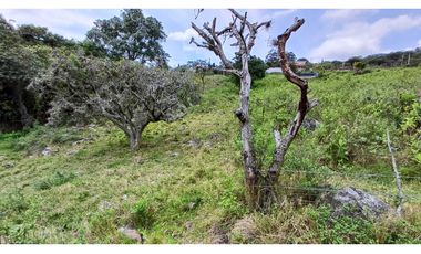 Venta de 2 Lotes en Medio Dapa Yumbo Valle