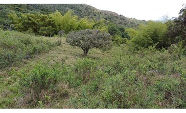 Venta de 2 Lotes en Medio Dapa Yumbo Valle