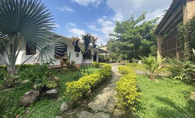 VENTA de FINCAS en MESITAS