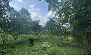 VENTA de FINCAS en MESITAS