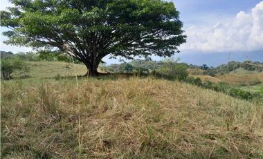 VENTA DE LOTE U/C, LA PINTADA SUROESTE ANTIOQUEÑO