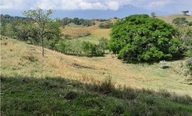 VENTA DE LOTE U/C, LA PINTADA SUROESTE ANTIOQUEÑO