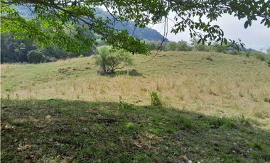 VENTA DE LOTE U/C, LA PINTADA SUROESTE ANTIOQUEÑO