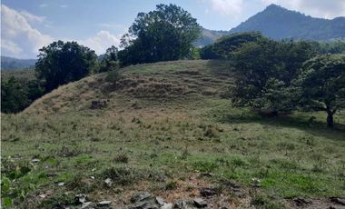 VENTA DE LOTE U/C, LA PINTADA SUROESTE ANTIOQUEÑO