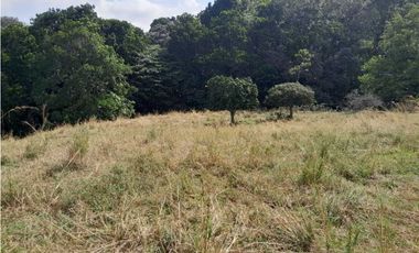 VENTA DE LOTE U/C, LA PINTADA SUROESTE ANTIOQUEÑO