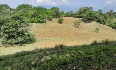 VENTA DE LOTE U/C, LA PINTADA SUROESTE ANTIOQUEÑO