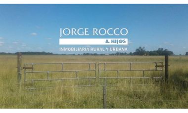 Campo en venta en Ranchos. 10 Has. mixto