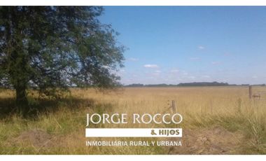Campo en venta en Ranchos. 10 Has. mixto