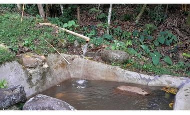 VENTA  CASA FINCA TIRIRIBI,SUROESTE ANTIOQUEÑO