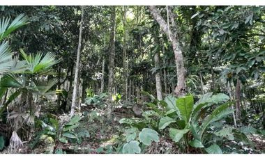 VENTA  CASA FINCA TIRIRIBI,SUROESTE ANTIOQUEÑO