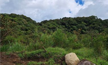 VENDO CASA RODEADA DE NATURALEZA BOQUETE