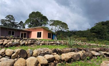 VENDO CASA RODEADA DE NATURALEZA BOQUETE