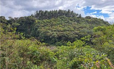 VENDO CASA RODEADA DE NATURALEZA BOQUETE
