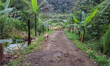 VENDO CASA RODEADA DE NATURALEZA BOQUETE