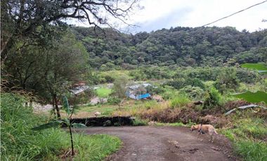 VENDO CASA RODEADA DE NATURALEZA BOQUETE