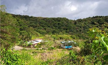 VENDO CASA RODEADA DE NATURALEZA BOQUETE