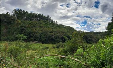 VENDO CASA RODEADA DE NATURALEZA BOQUETE
