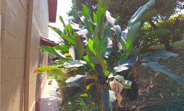 VENTA FINCA, AMAGA SUROESTE ANTIOQUEÑO