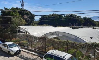 Terreno en venta en Ajijic Centro
